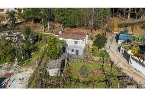 Villa i Celorico de Basto, Braga, Celorico de Basto - € 85.000 | Ref: 126221008-294 - foto 2