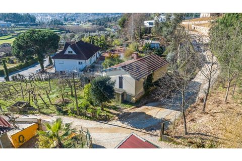 Villa i Celorico de Basto, Braga, Celorico de Basto - € 85.000 | Ref: 126221008-294 - foto 6