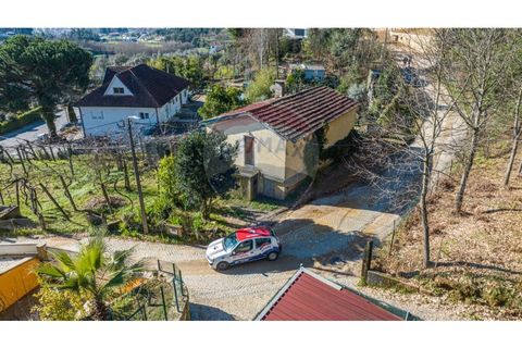 Villa i Celorico de Basto, Braga, Celorico de Basto - € 85.000 | Ref: 126221008-294 - foto 7