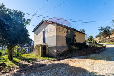 Villa i Celorico de Basto, Braga, Celorico de Basto - € 85.000 | Ref: 126221008-294 - foto 8