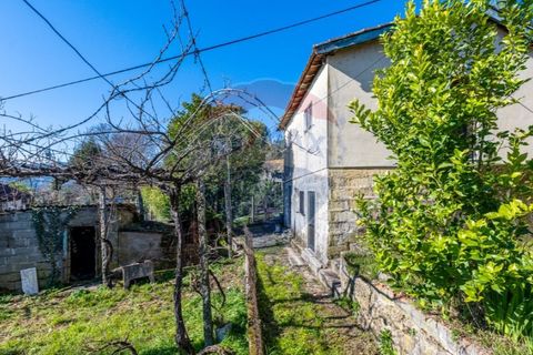 Villa i Celorico de Basto, Braga, Celorico de Basto - € 85.000 | Ref: 126221008-294 - foto 9