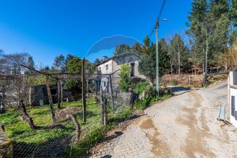 Villa i Celorico de Basto, Braga, Celorico de Basto - € 85.000 | Ref: 126221008-294 - foto 10
