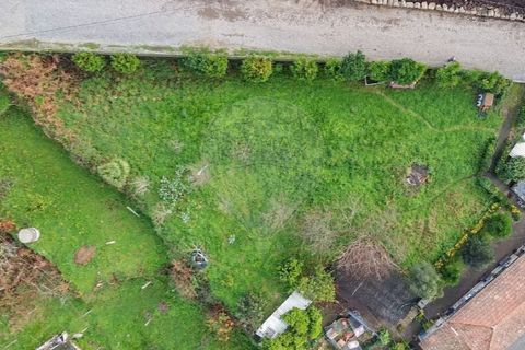Terra a Roriz, Porto, Roriz - € 48.000 | Ref: 120761078-58 - foto 15