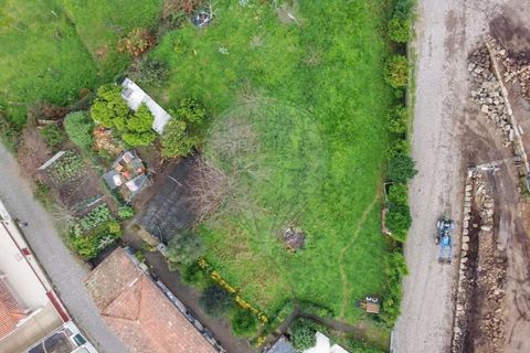 Terra a Roriz, Porto, Roriz - € 48.000 | Ref: 120761078-58 - foto 8