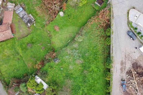 Terra a Roriz, Porto, Roriz - € 48.000 | Ref: 120761078-58 - foto 7