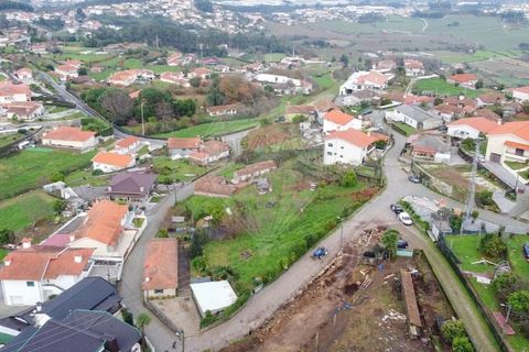 Terra a Roriz, Porto, Roriz - € 48.000 | Ref: 120761078-58 - foto 10
