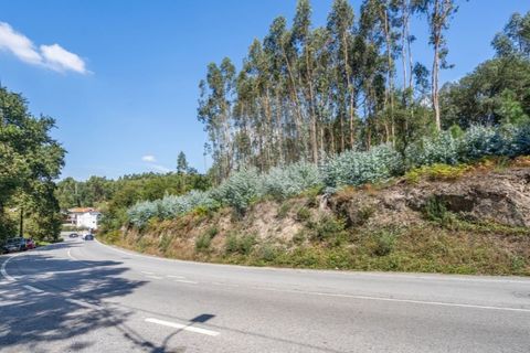Helårsgrund i Braga, Braga, Braga - € 390.000 | Ref: 123331056-888 - foto 2