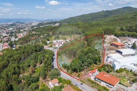 Helårsgrund i Braga, Braga, Braga - € 390.000 | Ref: 123331056-888 - foto 5