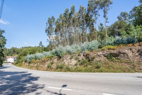 Helårsgrund i Braga, Braga, Braga - € 390.000 | Ref: 123331056-888 - foto 6