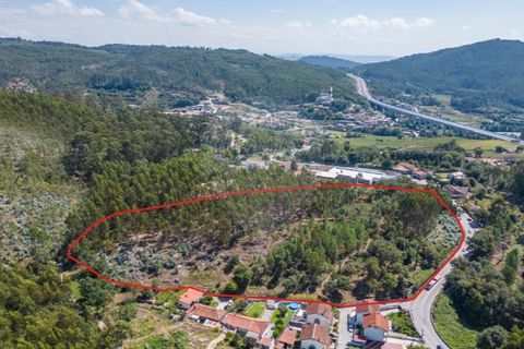Helårsgrund i Braga, Braga, Braga - € 390.000 | Ref: 123331056-888 - foto 9