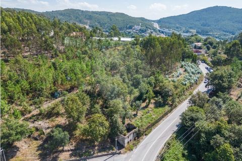 Helårsgrund i Braga, Braga, Braga - € 390.000 | Ref: 123331056-888 - foto 19