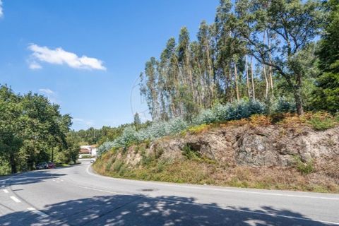 Helårsgrund i Braga, Braga, Braga - € 390.000 | Ref: 123331056-888 - foto 20