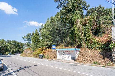 Helårsgrund i Braga, Braga, Braga - € 390.000 | Ref: 123331056-888 - foto 21