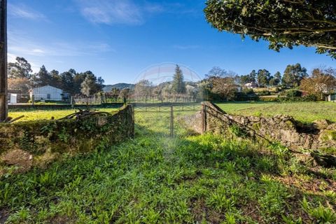 Helårsgrund i Ponte de Lima, Viana do Castelo, Ponte de Lima - € 90.000 | Ref: 123731008-387 - foto 12
