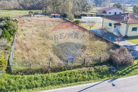 Terra a Balugaes, Braga, Balugaes - € 67.000 | Ref: 123731008-265 - foto 4