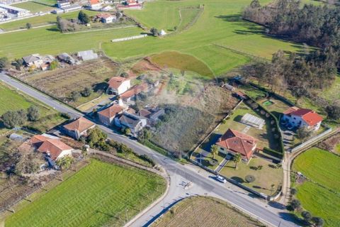 Terra a Balugaes, Braga, Balugaes - € 67.000 | Ref: 123731008-265 - foto 7