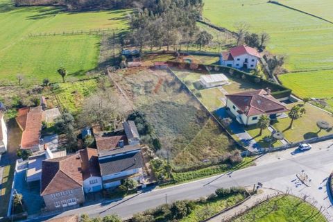 Terra a Balugaes, Braga, Balugaes - € 67.000 | Ref: 123731008-265 - foto 8
