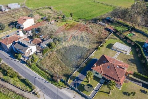 Terra a Balugaes, Braga, Balugaes - € 67.000 | Ref: 123731008-265 - foto 11