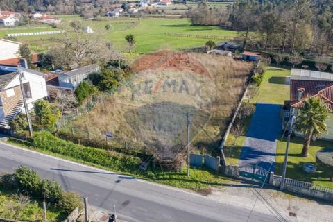 Terra a Balugaes, Braga, Balugaes - € 67.000 | Ref: 123731008-265 - foto 12