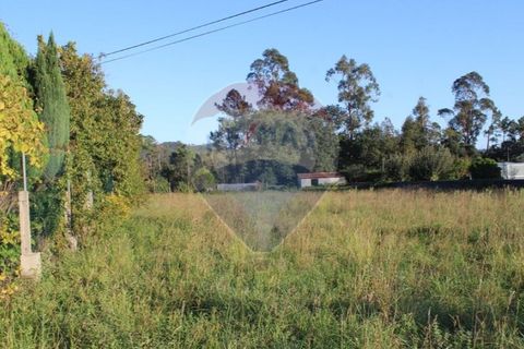 Terra a Balugaes, Braga, Balugaes - € 67.000 | Ref: 123731008-265 - foto 14
