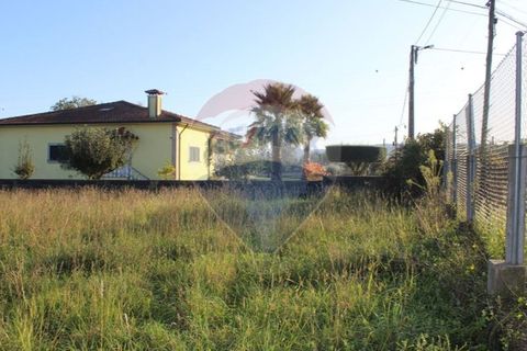 Terra a Balugaes, Braga, Balugaes - € 67.000 | Ref: 123731008-265 - foto 15