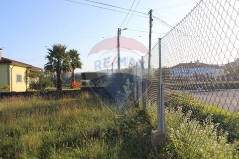 Terra a Balugaes, Braga, Balugaes - € 67.000 | Ref: 123731008-265 - foto 16