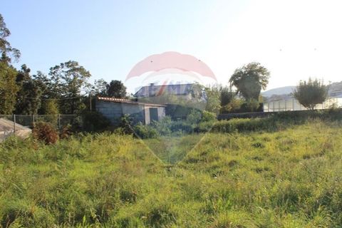 Terra a Balugaes, Braga, Balugaes - € 67.000 | Ref: 123731008-265 - foto 17