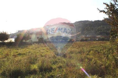 Terra a Balugaes, Braga, Balugaes - € 67.000 | Ref: 123731008-265 - foto 18