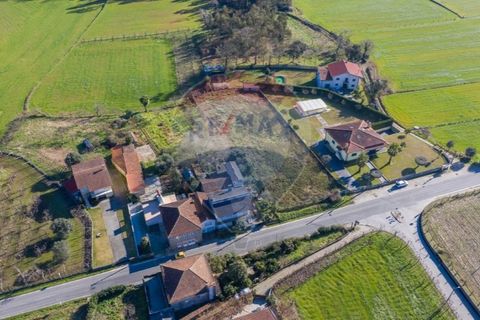 Terra a Balugaes, Braga, Balugaes - € 67.000 | Ref: 123731008-265 - foto 19