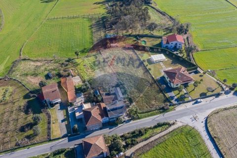 Terra a Balugaes, Braga, Balugaes - € 67.000 | Ref: 123731008-265 - foto 20