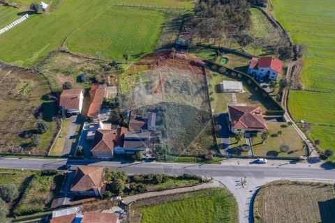 Terra a Balugaes, Braga, Balugaes - € 67.000 | Ref: 123731008-265 - foto 21