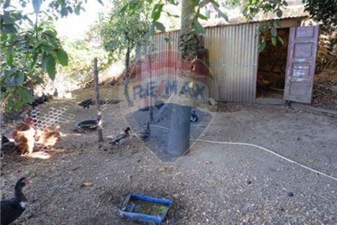 Villa a Rego, Braga, Rego - € 49.900 | Ref: 126221008-30 - foto 11