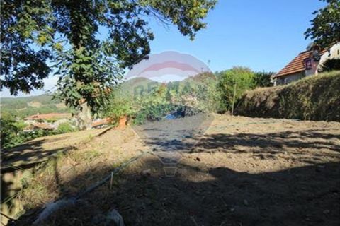 Villa a Rego, Braga, Rego - € 49.900 | Ref: 126221008-30 - foto 10