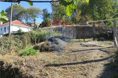 Villa a Rego, Braga, Rego - € 49.900 | Ref: 126221008-30 - foto 9