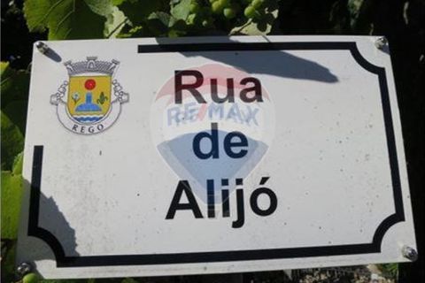 Villa a Rego, Braga, Rego - € 49.900 | Ref: 126221008-30 - foto 3