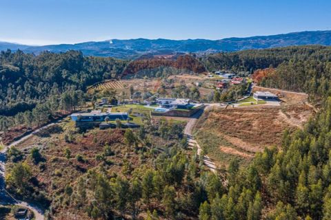 Villa i Celorico de Basto, Braga, Celorico de Basto - € 750.000 | Ref: 126221008-70 - foto 28