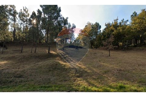 Helårsgrund i Braga, Braga, Braga - € 45.000 | Ref: 126221008-233 - foto 6