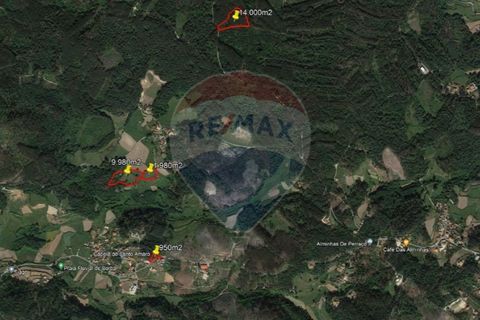 Helårsgrund i Braga, Braga, Braga - € 45.000 | Ref: 126221008-233 - foto 9