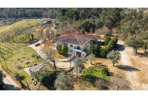 Villa a Celorico de Basto, Braga, Celorico de Basto - € 399.000 | Ref: 126221008-241 - foto 2