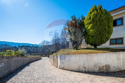 Villa a Celorico de Basto, Braga, Celorico de Basto - € 399.000 | Ref: 126221008-241 - foto 31