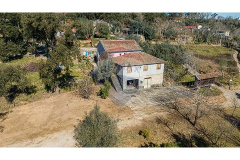 Villa a Celorico de Basto, Braga, Celorico de Basto - € 399.000 | Ref: 126221008-241 - foto 33