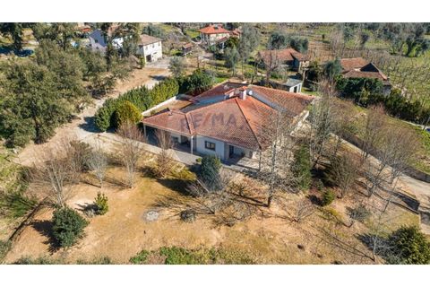 Villa a Celorico de Basto, Braga, Celorico de Basto - € 399.000 | Ref: 126221008-241 - foto 34