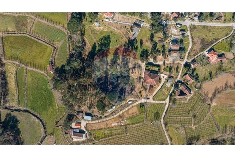 Villa a Celorico de Basto, Braga, Celorico de Basto - € 399.000 | Ref: 126221008-241 - foto 36