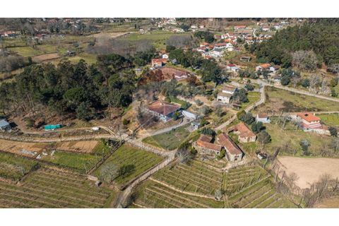 Villa a Celorico de Basto, Braga, Celorico de Basto - € 399.000 | Ref: 126221008-241 - foto 37