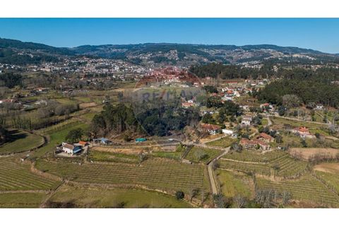 Villa a Celorico de Basto, Braga, Celorico de Basto - € 399.000 | Ref: 126221008-241 - foto 39