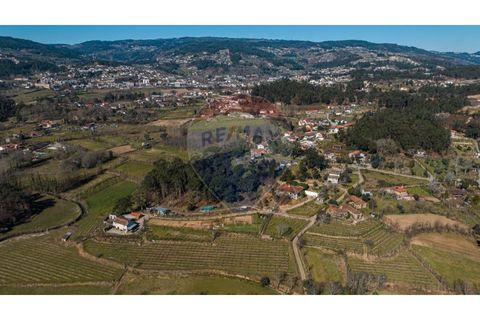 Villa a Celorico de Basto, Braga, Celorico de Basto - € 399.000 | Ref: 126221008-241 - foto 40