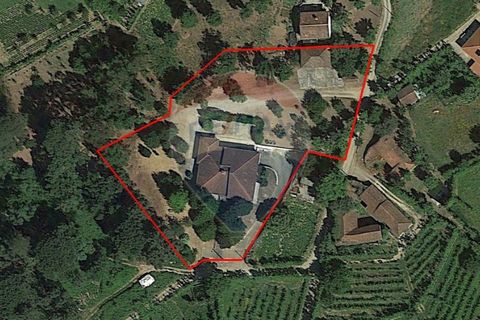 Villa a Celorico de Basto, Braga, Celorico de Basto - € 399.000 | Ref: 126221008-241 - foto 43