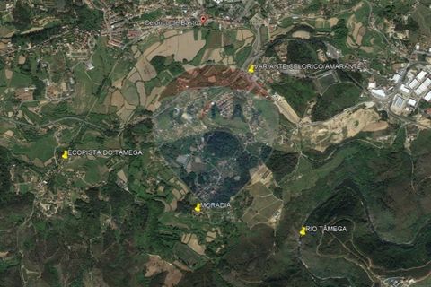 Villa a Celorico de Basto, Braga, Celorico de Basto - € 399.000 | Ref: 126221008-241 - foto 44