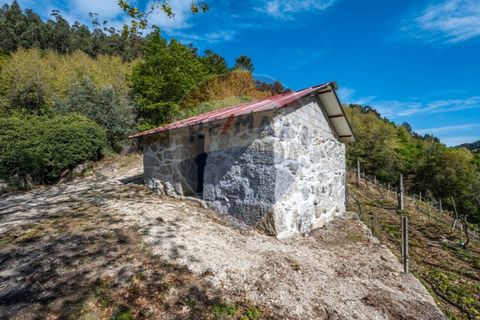 Helårsgrund i Cacarilhe e Infesta, Braga, Cacarilhe e Infesta - € 35.000 | Ref: 126221008-251 - foto 3
