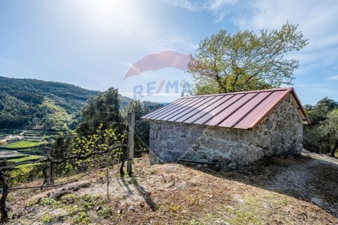 Helårsgrund i Cacarilhe e Infesta, Braga, Cacarilhe e Infesta - € 35.000 | Ref: 126221008-251 - foto 4
